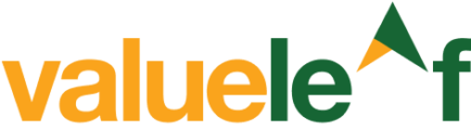 Valueleaf Blog